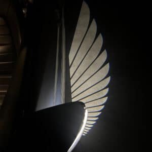 Cadillac Angel Wing Mirror Light